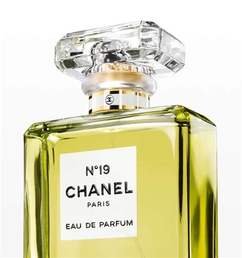 perfumes similar to chanel no 19|chanel no 19 parfum discontinued.